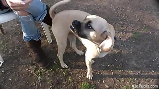 11892 tits porn videos